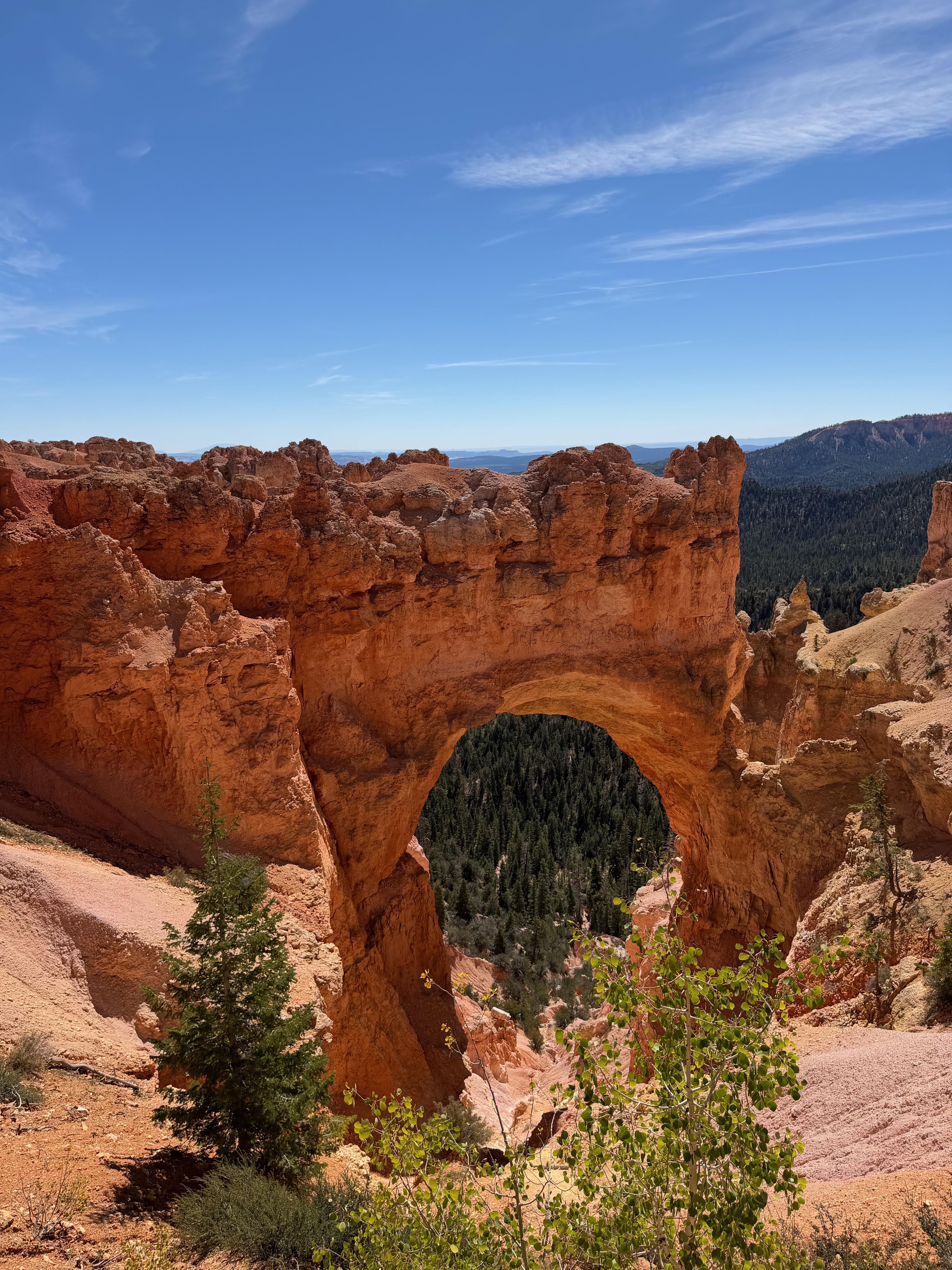 Bridge or Arch?