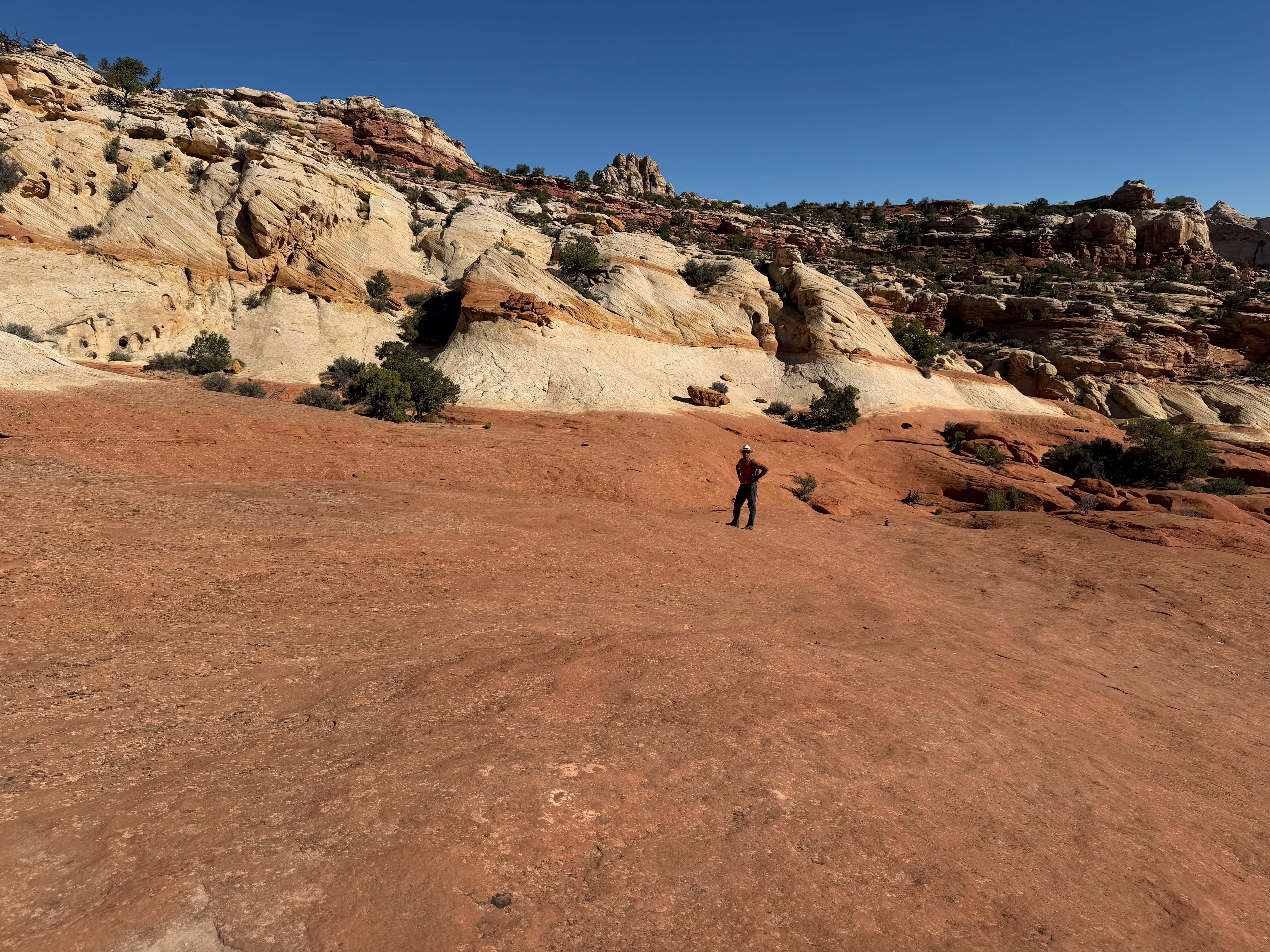 Where's the bloody trail?