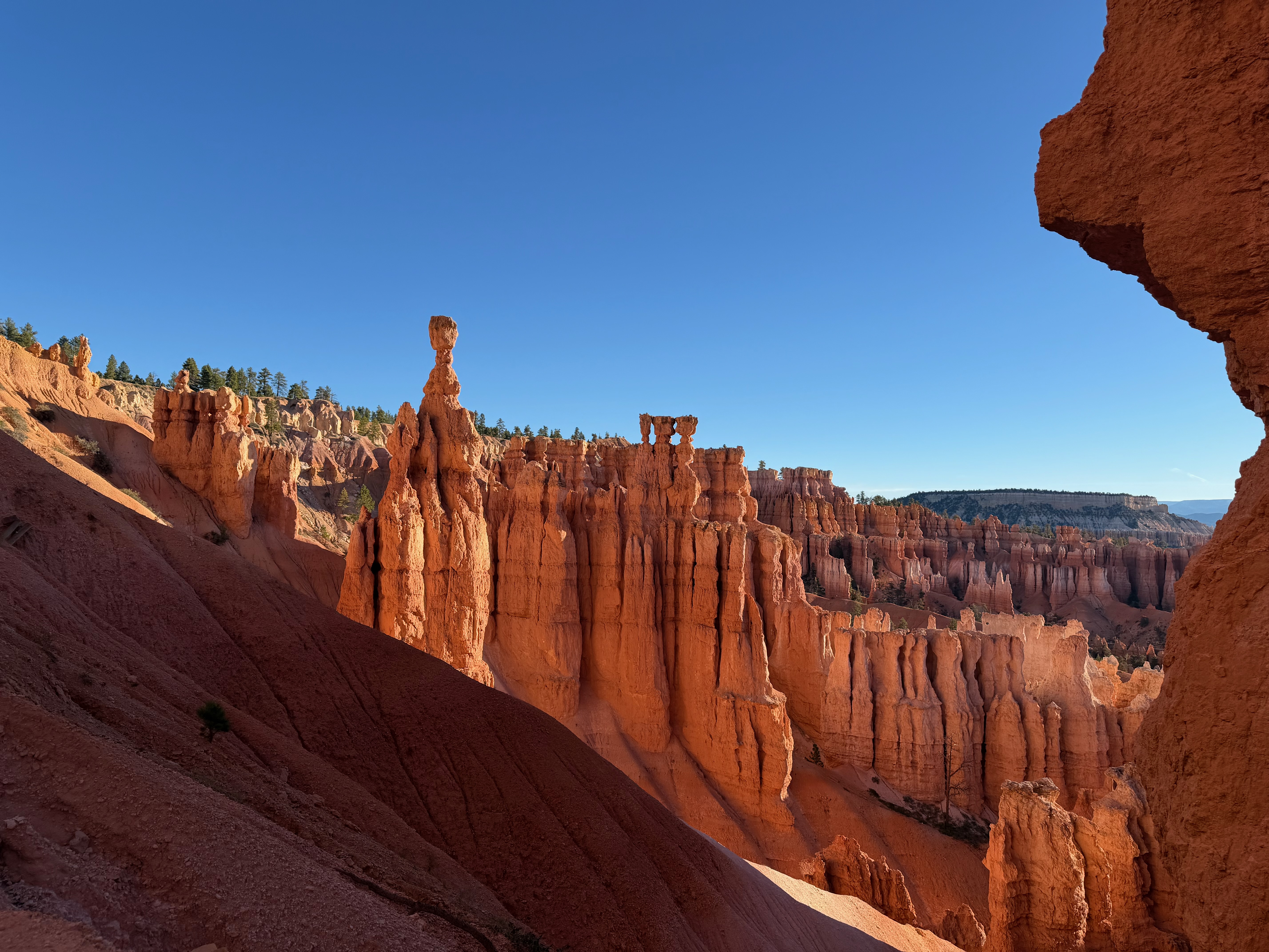 Noble Hoodoos