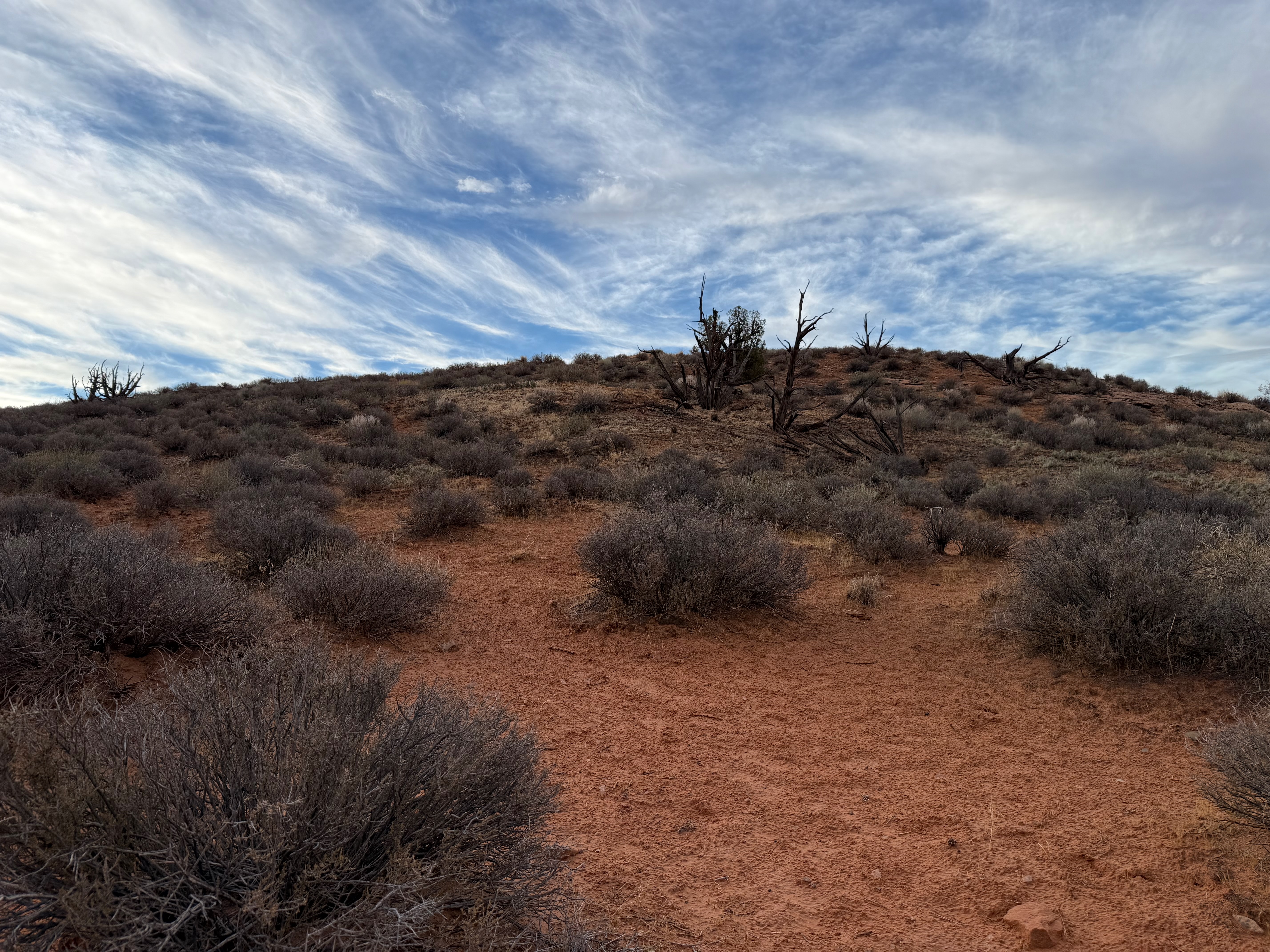 the trail